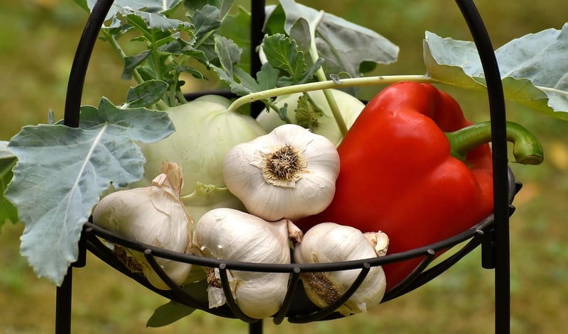 Fresh Ingredients